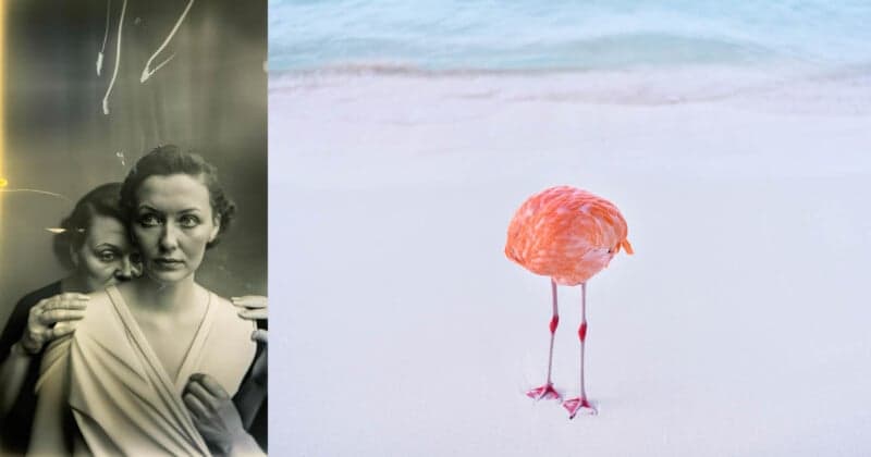 Eldagsen and Astray Challenge Fontcuberta’s Algorithmic Photography Claims