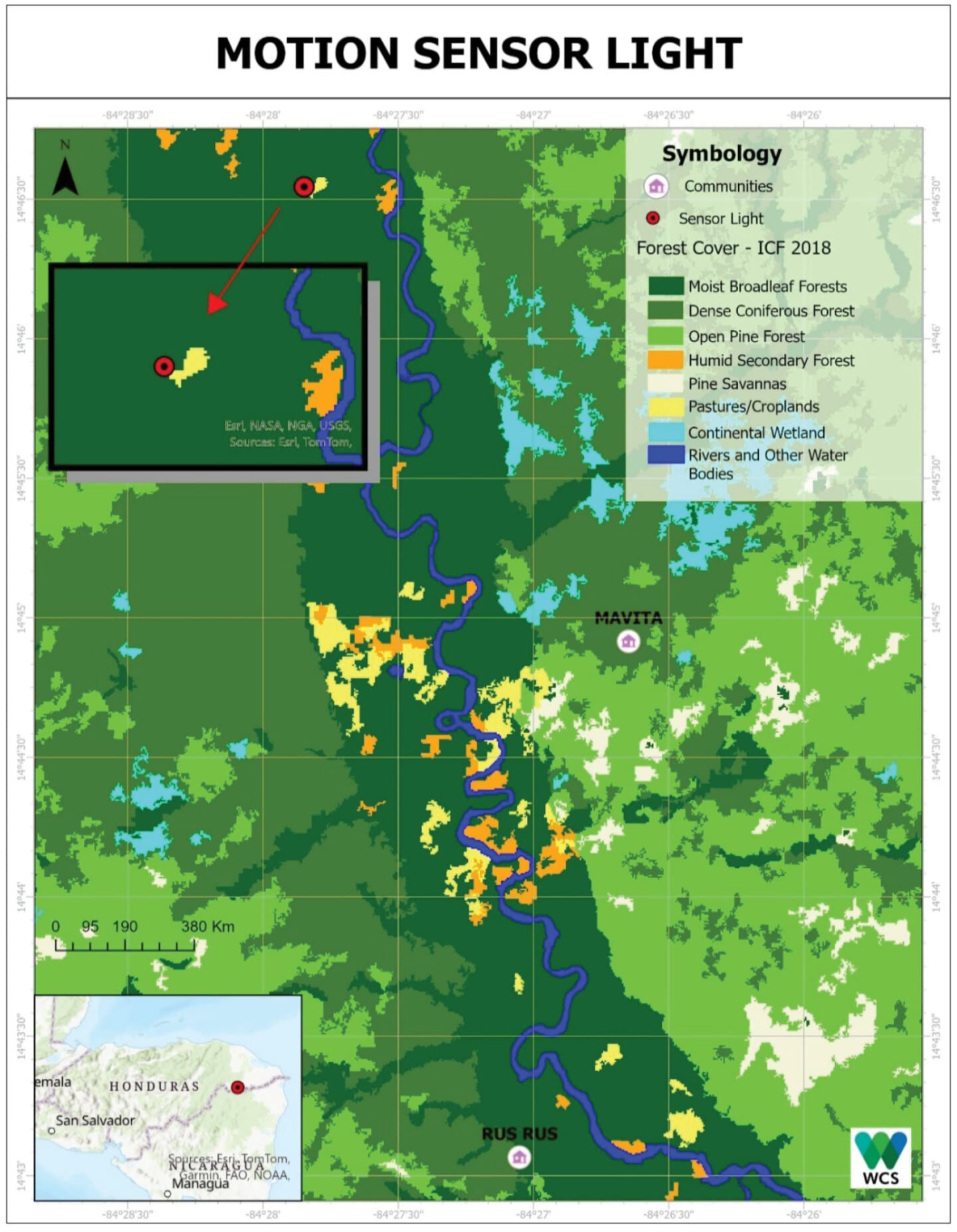 Camera traps in Honduras reveal rabbits, not tapirs, damage crops