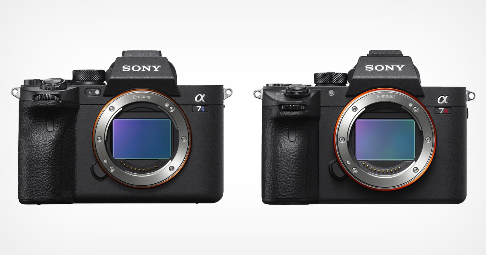 PetaPixel challenges the megapixel race, do photographers really need 60MP?