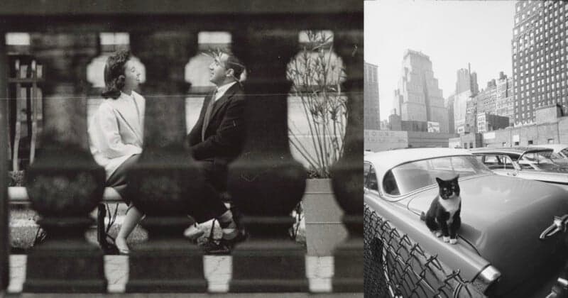 Angelo Rizzuto’s hidden New York street archive resurfaces after death