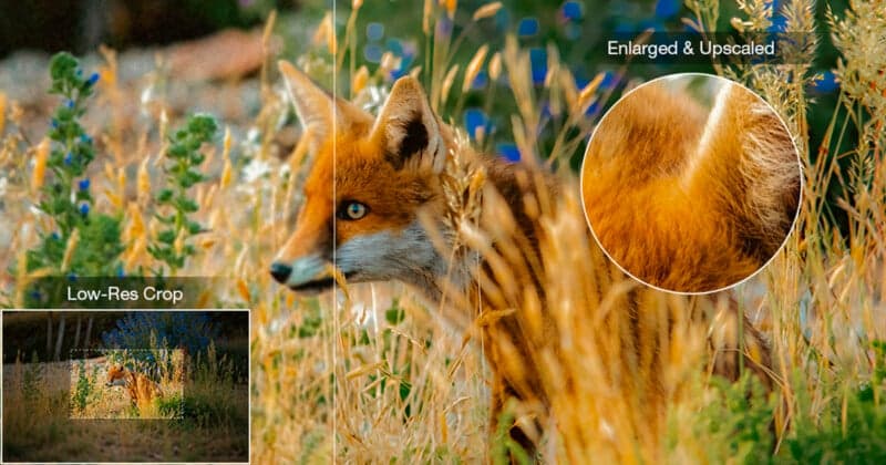 How to upscale photos without losing their natural look