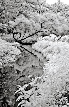 Scotsman Readers Gallery Showcases Beautiful Community Photography Across Scotland